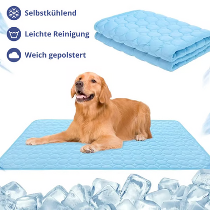 ✨JETZT 50 % RABATT! ✨Premium Kühlmatte für Hunde🐶🐱
