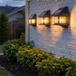 🔥50% DISCOUNT – Don’t Miss Out🔥 Solar Tungsten Wall Light – Motion Sensor, Dusk to Dawn, IP65 Waterproof ✨