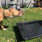 💎 -50% SOLAR-SPRINGBRUNNEN! 💎 4 Düsen, Kabellos & Schwebend für Garten, Teich & Vogelbad