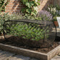 💎 -50% POP-UP PFLANZENSCHUTZ-NETZ! 💎 3-in-1 Schutz vor Insekten, Frost & Sonne – Sofort aufbaubar!