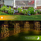 💎 KAUFEN SIE 3, ERHALTEN SIE 1 KOSTENLOS! 💎 Solar-Gartenlicht: Wetterfest, Auto-On/Off & Wunderschöne Flamme ✨