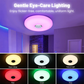💎 -50% AUF INTELLIGENTE LED-DECKENLEUCHTE MIT BLUETOOTH! 💎 RGB-Beleuchtung, Integrierter Lautsprecher & App-Steuerung ✨