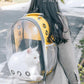 🐾 LIMITIERTES ANGEBOT: 60% RABATT! 🎒 Panorama-Haustierrucksack – Mit Sichtfenster, Atmungsaktiv & Große Kapazität ✨