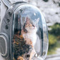 🐾 LIMITIERTES ANGEBOT: 60% RABATT! 🎒 Panorama-Haustierrucksack – Mit Sichtfenster, Atmungsaktiv & Große Kapazität ✨