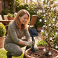 ✨ AKTION: 50% RABATT AUF SOLAR-LICHTERKETTEN! 💡 Wasserdichte LED-Gartenlichter – Automatisch, Farbwechsel, 10h Leuchtdauer 🌙