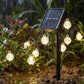 ✨ AKTION: 50% RABATT AUF SOLAR-LICHTERKETTEN! 💡 Wasserdichte LED-Gartenlichter – Automatisch, Farbwechsel, 10h Leuchtdauer 🌙