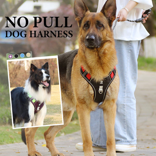 📢📢50% OFF !! ⏰ No‑Pull Dog Harness Kit with Leash & LED Collar – Escape‑Proof, Breathable Padding & Night Visibility 💡