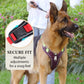 📢📢50% OFF !! ⏰ No‑Pull Dog Harness Kit with Leash & LED Collar – Escape‑Proof, Breathable Padding & Night Visibility 💡