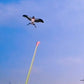 📢📢50% OFF !! ⏰Handheld Fishing Rod Kite Toy
