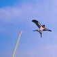 📢📢50% OFF !! ⏰Handheld Fishing Rod Kite Toy