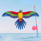 📢📢50% OFF !! ⏰Handheld Fishing Rod Kite Toy