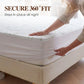 📢📢50% OFF !!⏰Bamboo Fiber Waterproof Mattress Protector