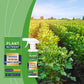 Plant Nutrient Liquid Spray