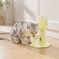 📢📢50% OFF !! 🐱  Adjustable Neck-Care Cat Water Fountain – 3-Level Height Adjustable, Anti-Slip & Auto Refill Flow ✨