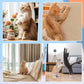 📢📢50% OFF !!⏰Remote Control Smart Electric Cat Toy,Interactive Cat Toys for Indoor Cats