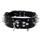 📢📢50% OFF !! ⏰Spiked Leather Dog Collar