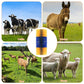 📢📢50% OFF !! ⏰️ Livestock Full Massage Grooming Scratching Brush