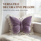 📢📢50% OFF !! ⏰Elegant Butterfly-Shaped Throw Pillow with Lace Trim